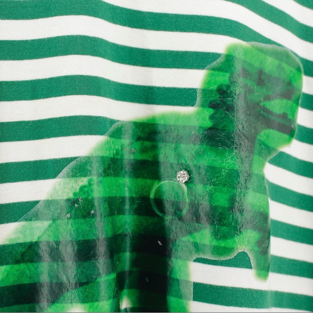 NEW Zara Dinosaur and Stripe Tee Novelty Comfort Fun Quirky Camp L - Picture 4 of 11
